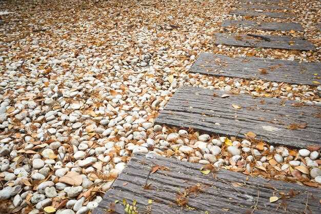 Деревянные покрытия требуют гидроизоляционной обработки поверхности восковыми или масляными составами, предотвращающими проникновение воды и образование плесени. Для предотвращения расщепления и деформации важно использовать конструкцию с вентиляционным зазором и избегать застоя влаги под слоем древесины. В процессе эксплуатации важно периодически очищать древесину от грязи и мха с помощью мягких моющих средств и повторным нанесением защитных пропиток не реже одного раза в год. Ровная укладка с учетом уклона для отвода воды и использование закрепляющих элементов, предотвращающих смещение, продлевают срок службы покрытия и защищают материал от разрушения под действием сезонных изменений влажности и температуры.