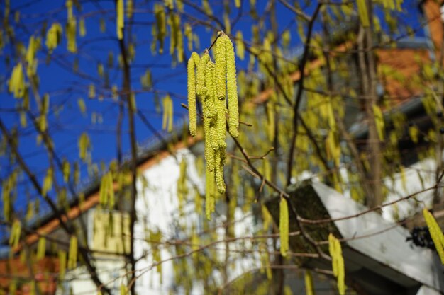 Очистка и профилактика засоров