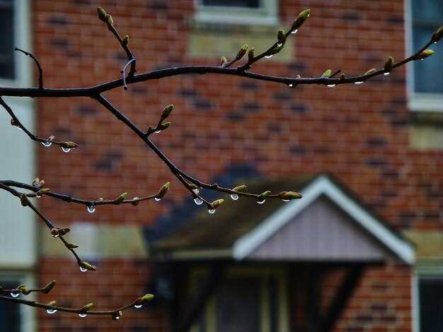 Обследование соединений позволяет обнаружить трещины или разгерметизацию уплотнителей, что приводит к протечкам. Настоятельно рекомендуется проверять наличие признаков коррозии на металлических деталях, так как ржавчина зачастую приводит к разрушению конструкции.