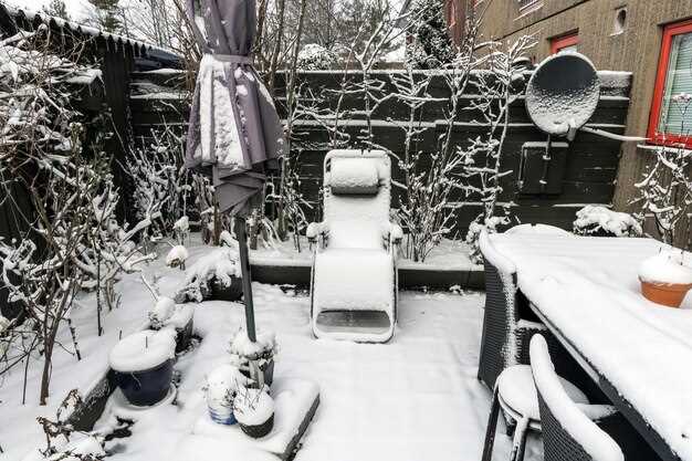 При выборе изделия важно учитывать особенности эксплуатации в конкретных климатических условиях. Контроль за состоянием покрытия и регулярное обслуживание помогут продлить срок службы. Наличие сертификатов экологической безопасности и подтверждения устойчивости к внешним воздействиям указывает на качество и соответствует требованиям долговечности.