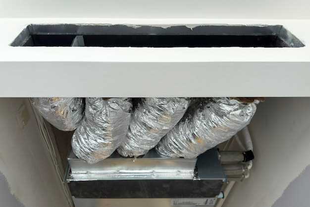 Обоснование роли неправильной вентиляции в росте плесени и признаки её появления в доме